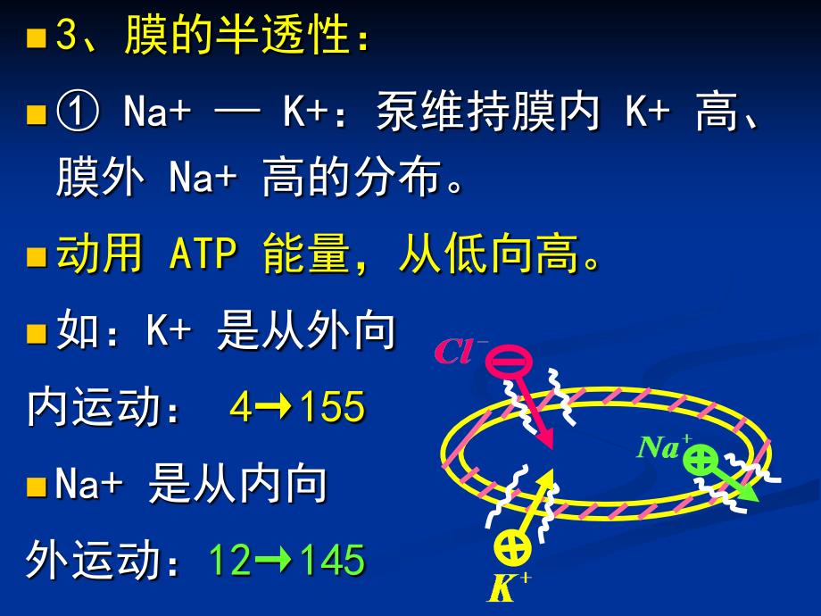 大学物理：9-6 人体内的电现象_第4页