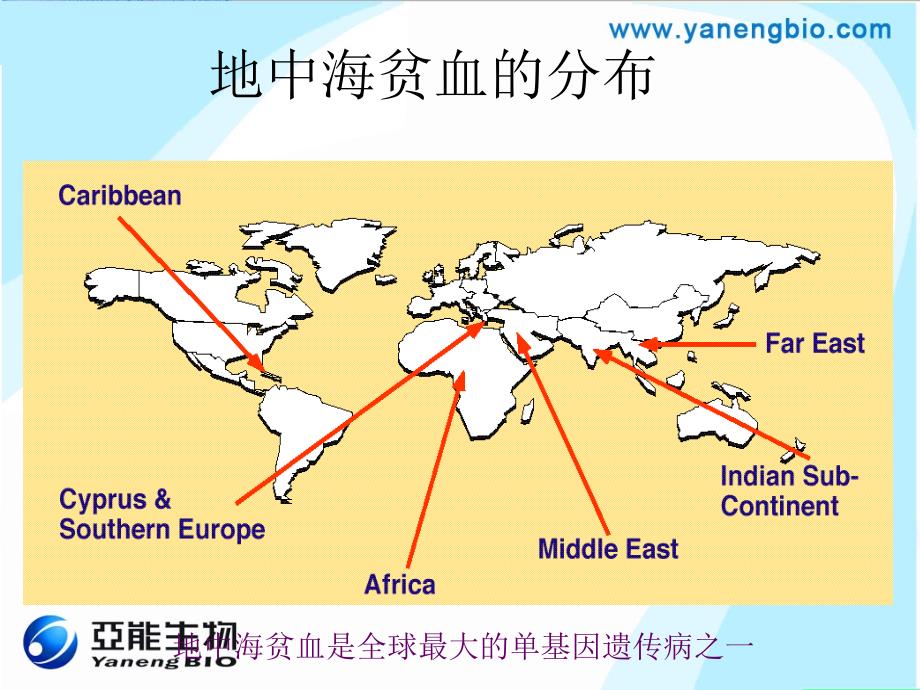 医药地中海贫血基因检测的临床应用_第3页