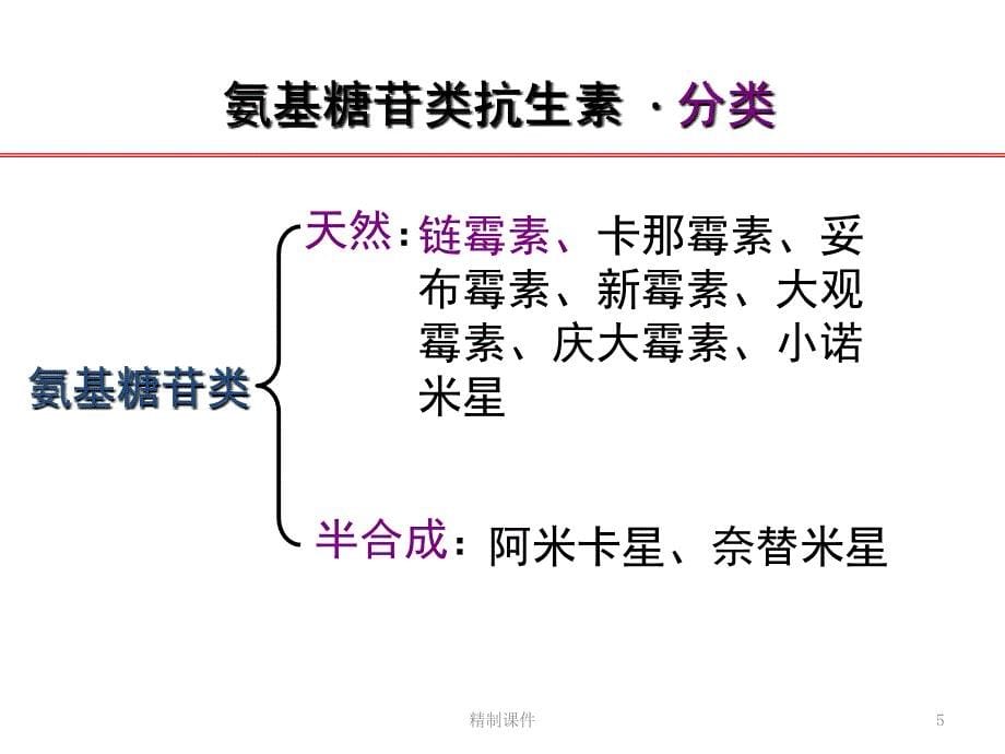 氨基糖苷类抗生素#精制课件_第5页