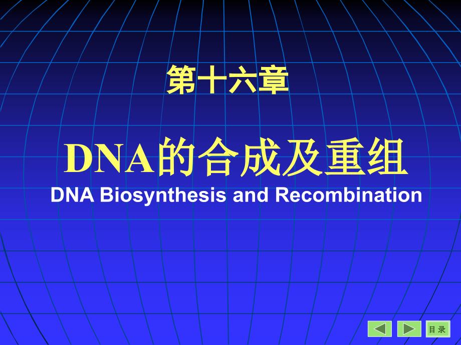 第16章DNA的生物合成和损伤修复_第1页