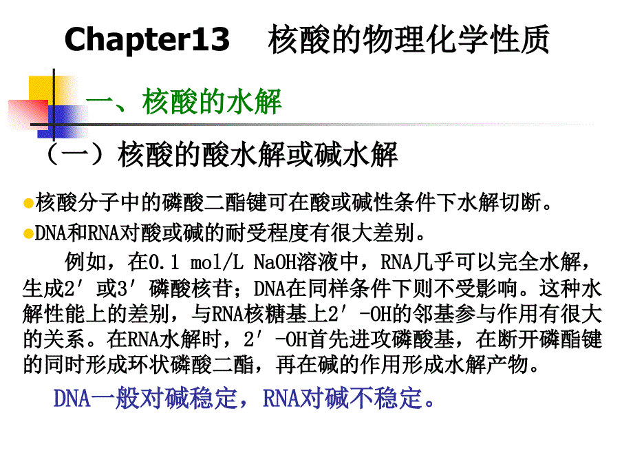 第115章核酸的物理化学性质_第2页