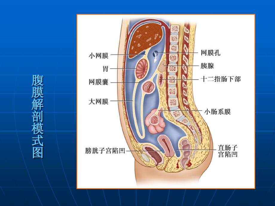 急性化脓性腹膜炎病人的护理_第4页