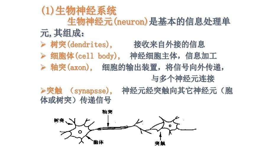 《BP神经网络》PPT课件.ppt_第5页