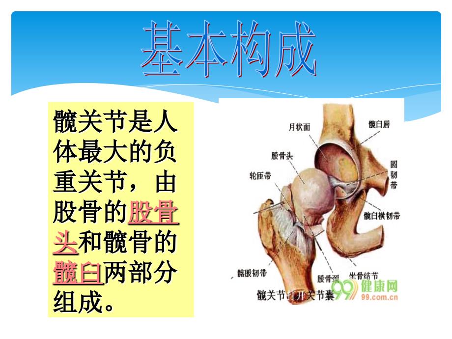 全髋关节置换术后护理查房._第2页