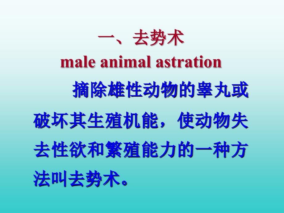 十三章阉割术animalcastration_第3页