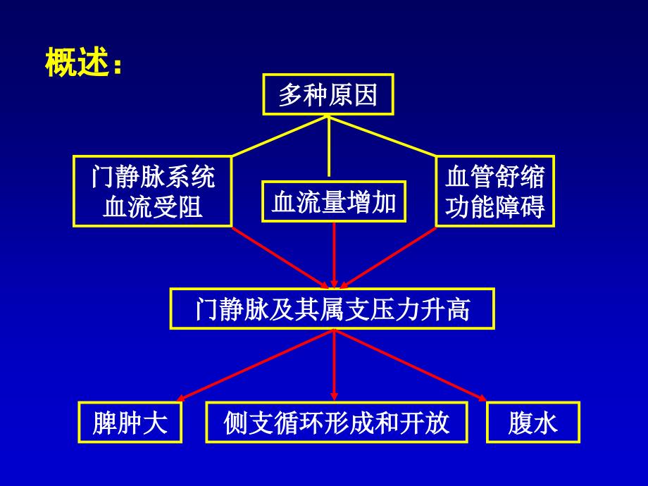 孙殿兴门静脉高压症1207_第3页