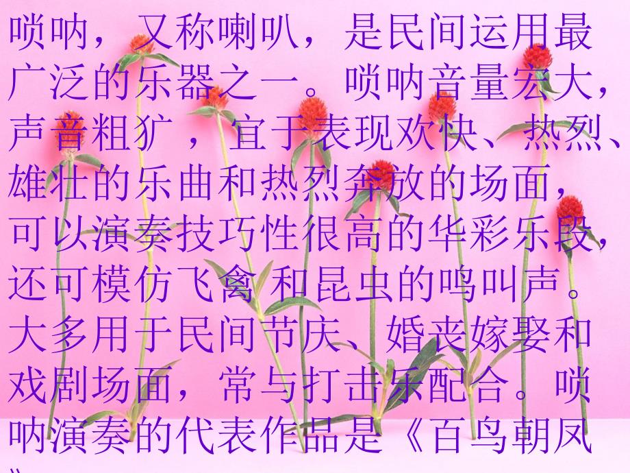 民族吹管乐器介绍（自制）_第4页