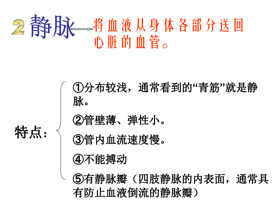 人体的血液循环PPT_第4页