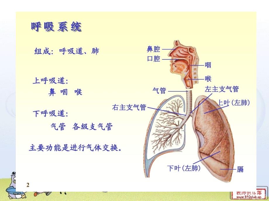 儿童上呼吸道感染_第4页