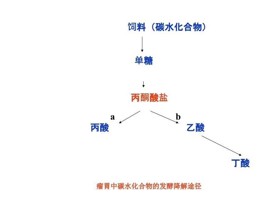 非临床用微生物药物_第5页