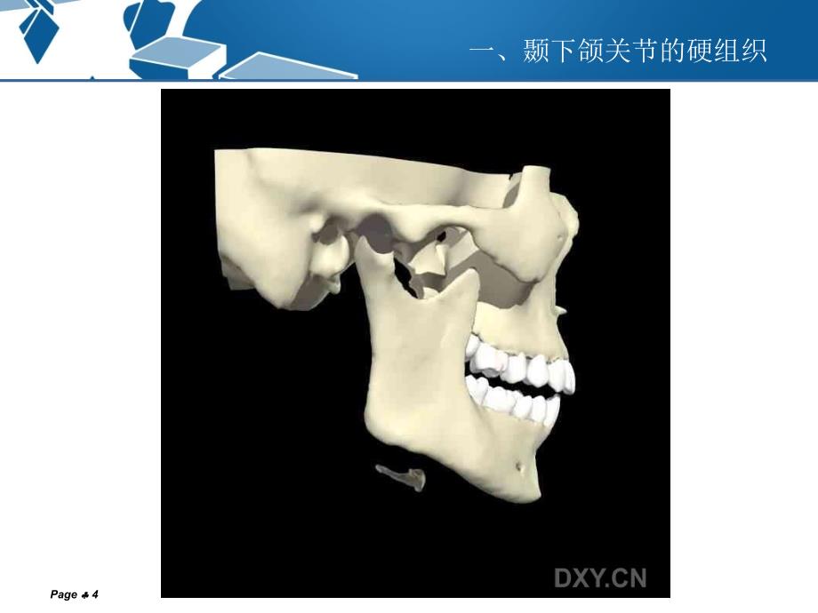 口腔科学教学课件：颞下颌关节常见病_第4页