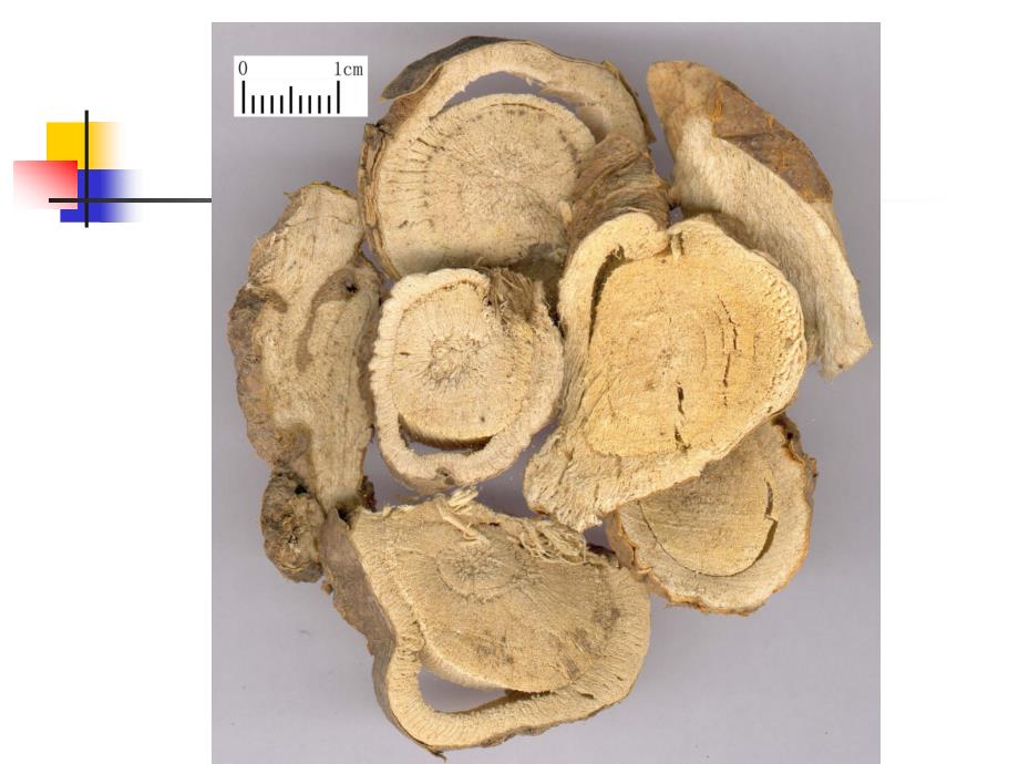 根及根茎类中药4_第3页