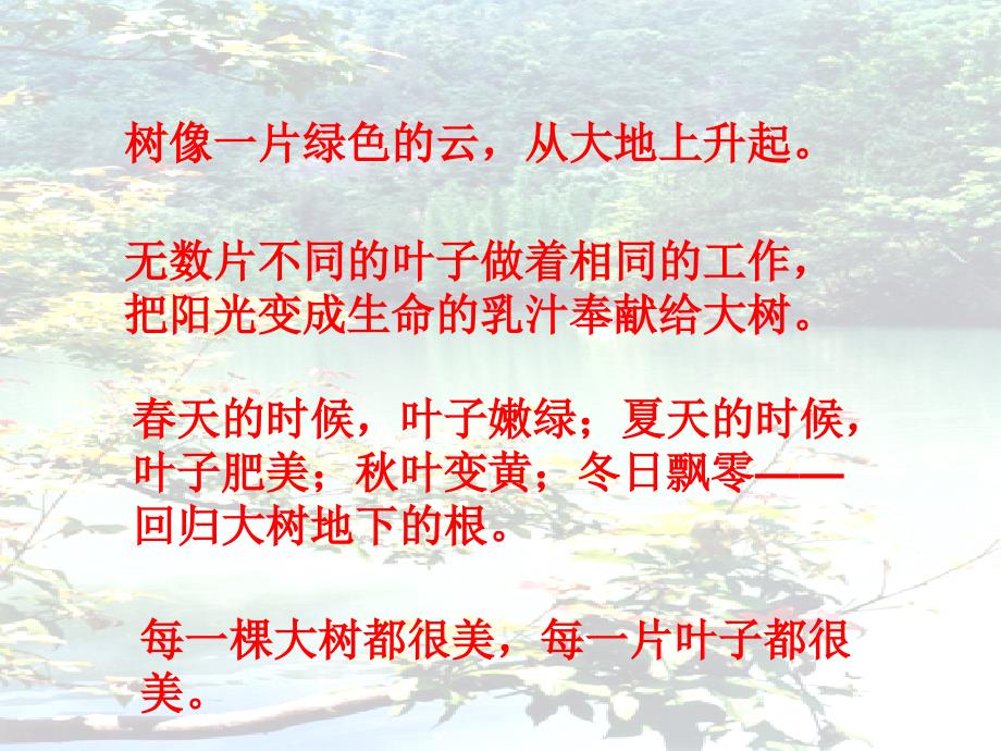 做一片美的叶子_第4页