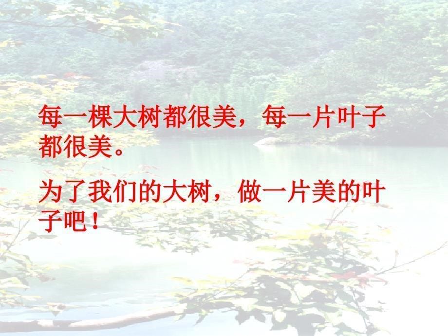 做一片美的叶子_第5页