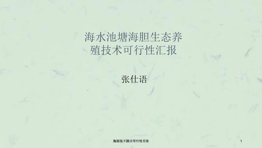 海胆技术路线可行性报告课件_第1页