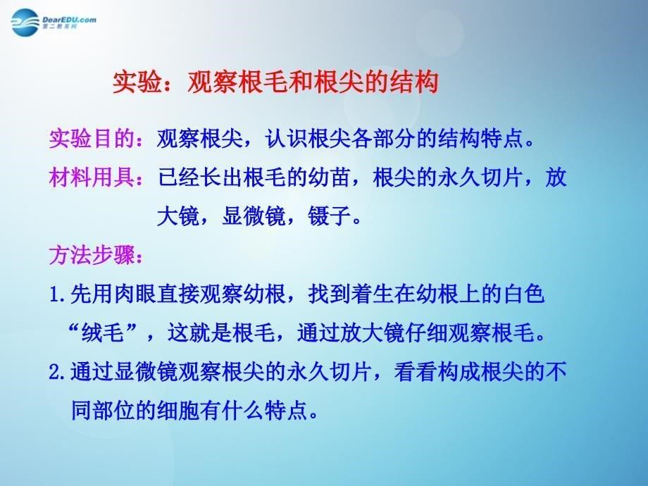 七年级生物上册 3.2.2 植株的生长课件 新版新人教版_第5页