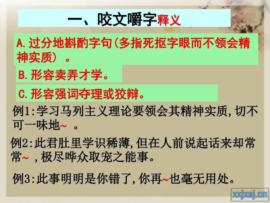 《咬文嚼字》ppt分解_第5页