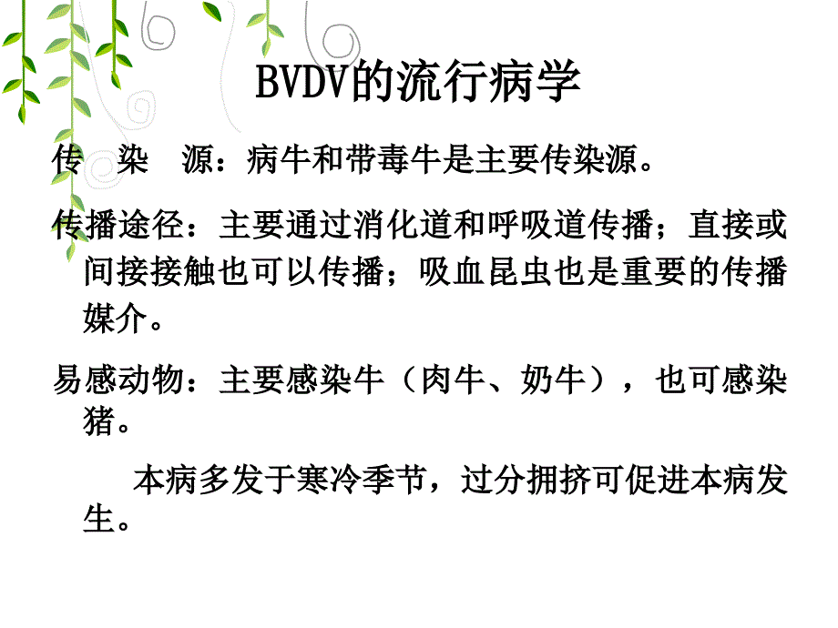 牛病毒性腹泻与粘膜病.ppt_第4页