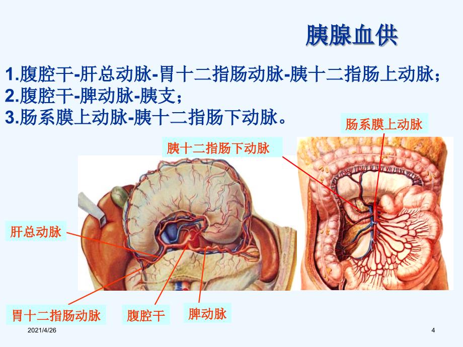 胰腺癌的影像诊断_第4页