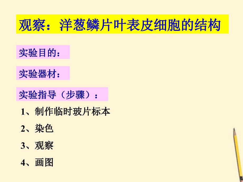 七年级生物上册《植物细胞的结构和功能》课件-苏教版_第3页