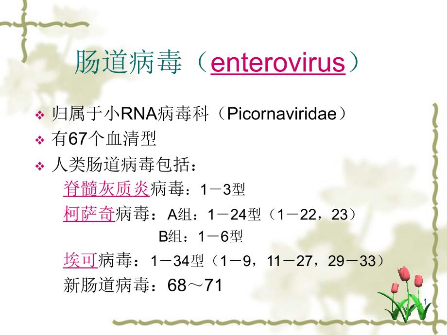 【微生物学】肠道病毒－09护本_第1页