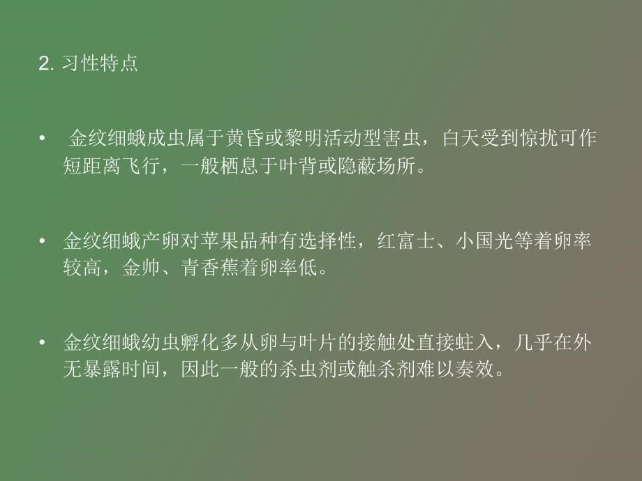 潜叶潜皮类害虫_第5页