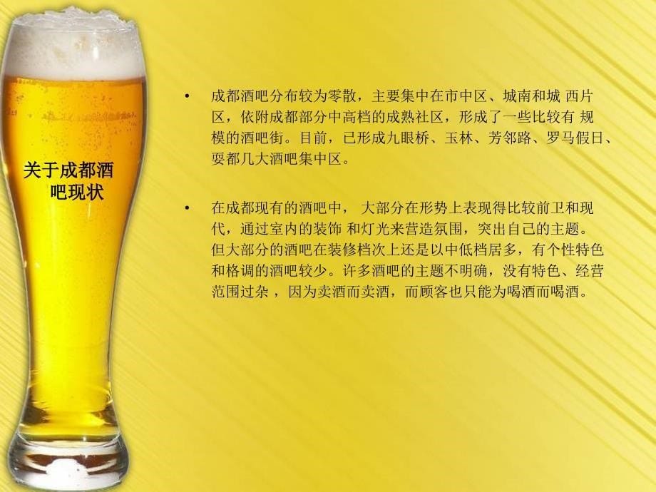 戛纳印象酒吧街开街仪式及庆典活动策全案_第5页