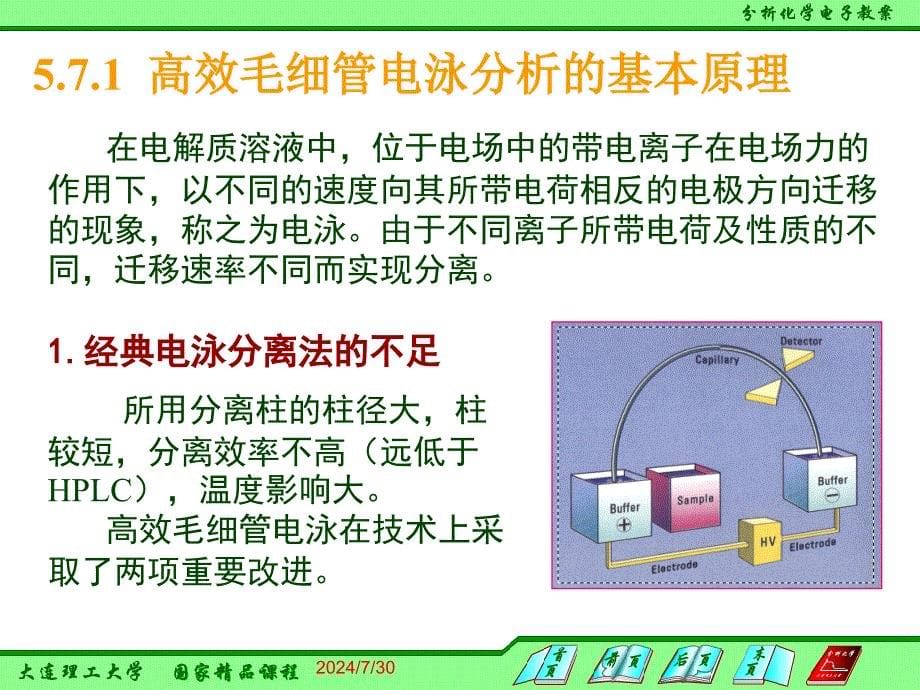 分析化学：5-7 高效毛细管电泳_第5页