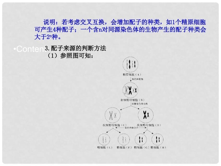 高中生物《 2.1.2 受精作用》课件 新人教版必修2_第5页