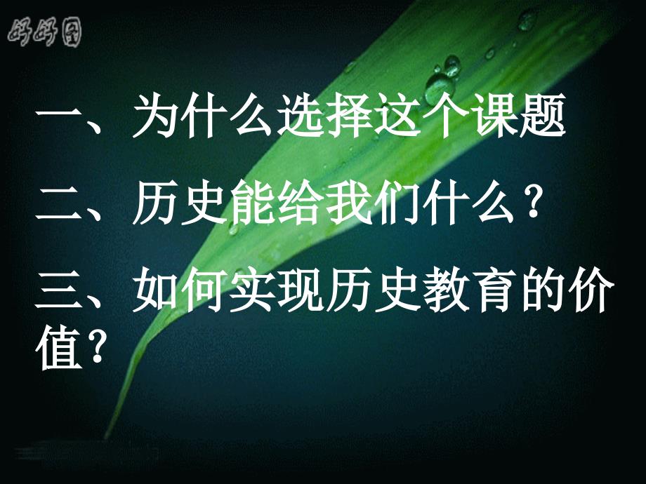 历史是个菜园子篱笆虽然有但基本形同虚设任谁都可以_第3页