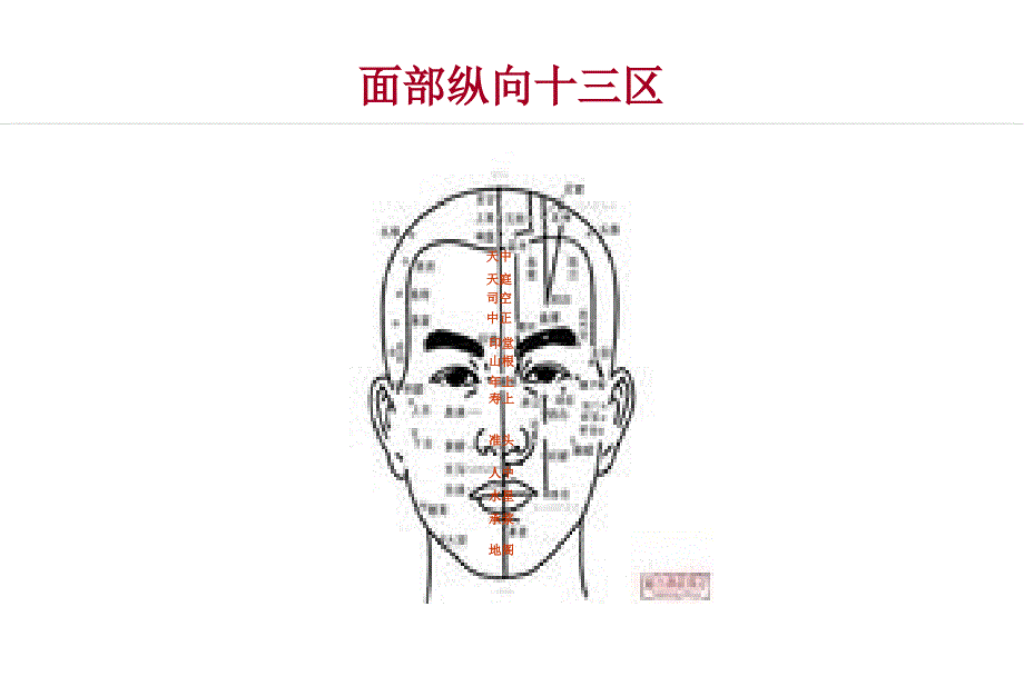 部位150个穴位图_第1页