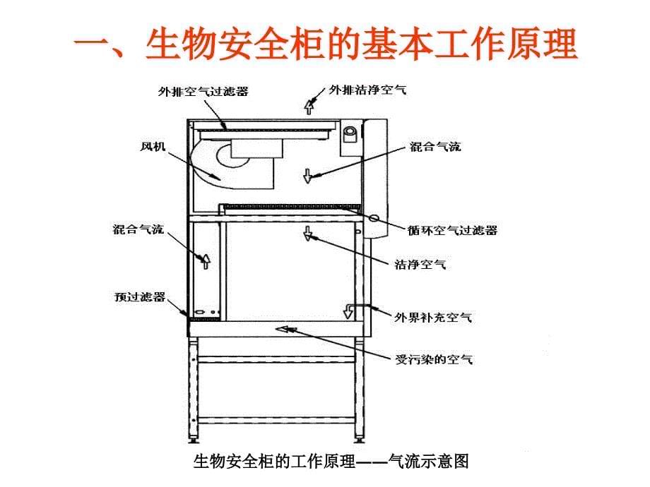 生物安全柜原理_第5页