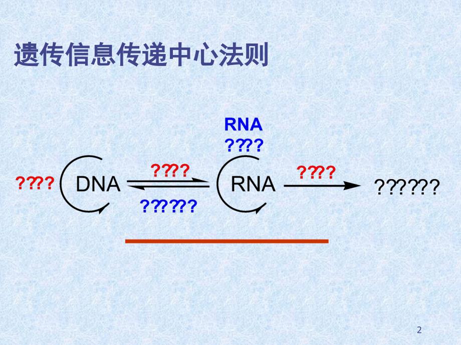 5基因表达的调控5年制_第2页