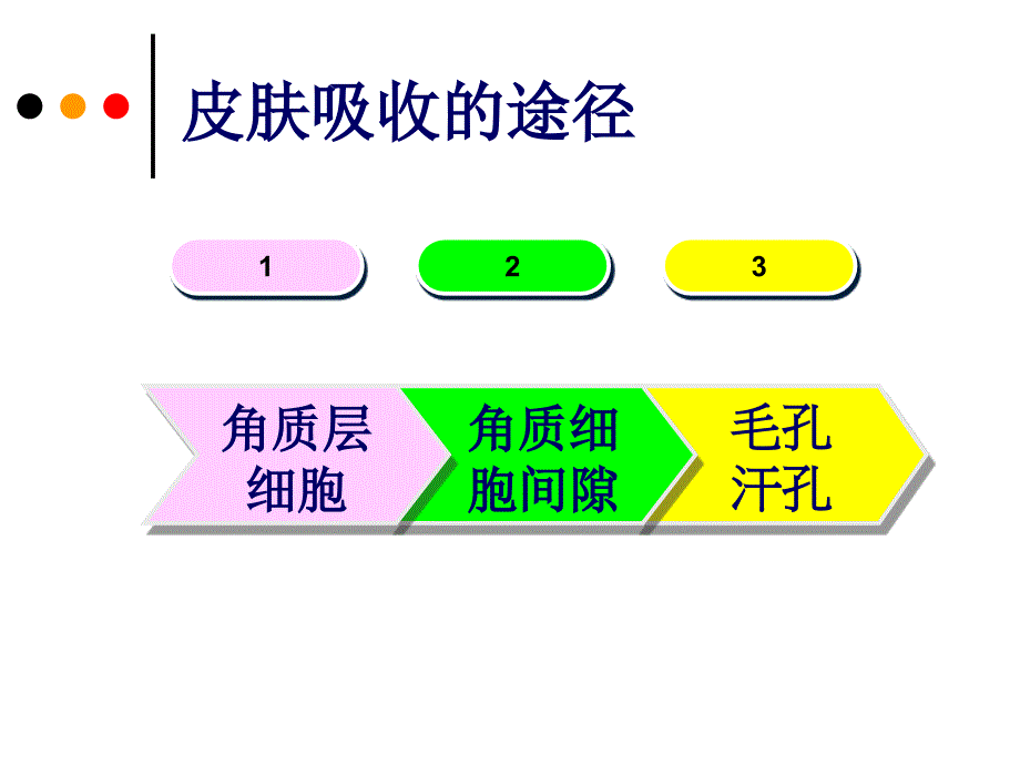 4. 皮肤的生理功能_第4页