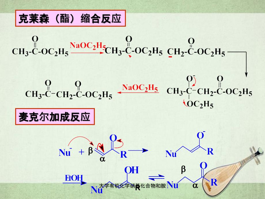 大学有机化学硝基化合物和胺_第2页