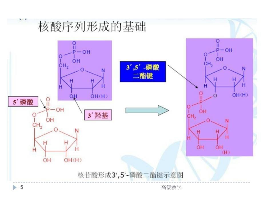 测序技术介绍【优制材料】_第5页