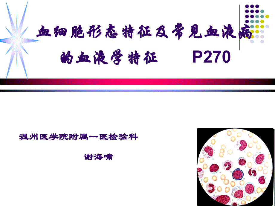 修改血细胞形态特及常见血液病的血液学特征ppt课件_第1页