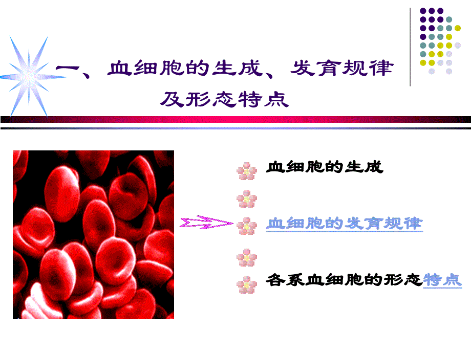 修改血细胞形态特及常见血液病的血液学特征ppt课件_第2页