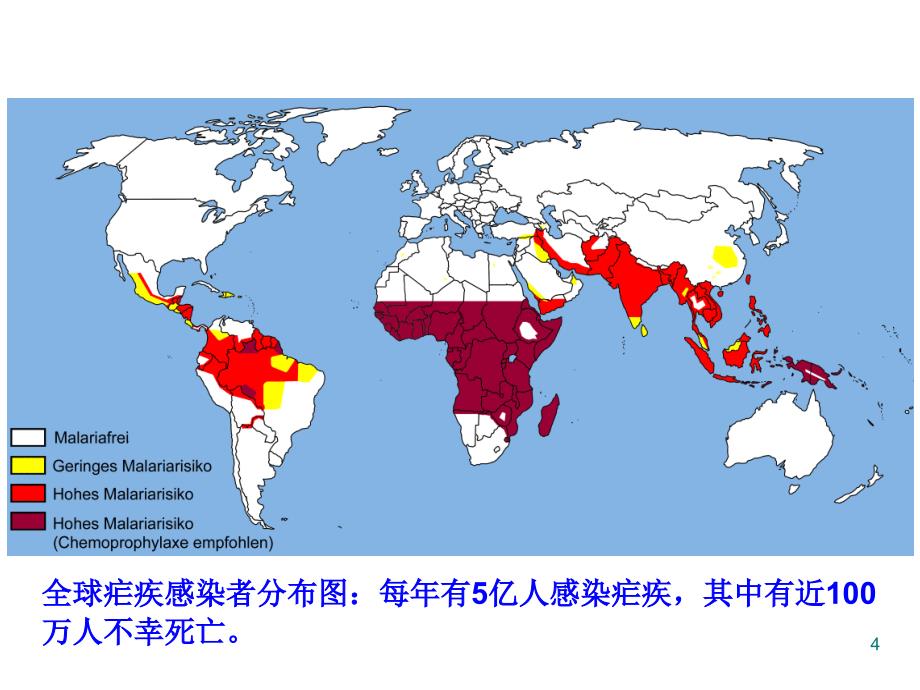 中药青蒿的代谢工程.ppt_第4页