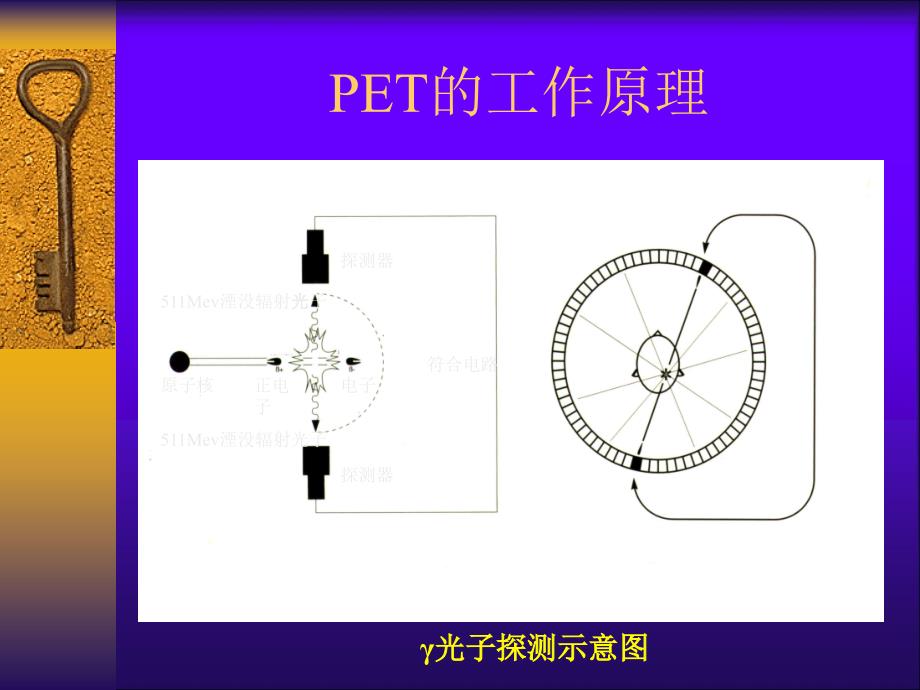 pet在肿瘤放疗中的应用ppt课件_第4页