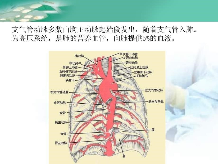 咯血介入治疗_第5页