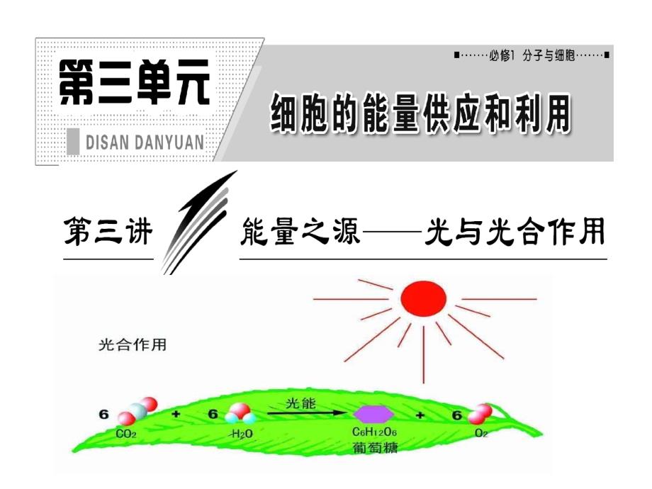 概念植物在内通过光合作用制造的数量表示方法_第1页