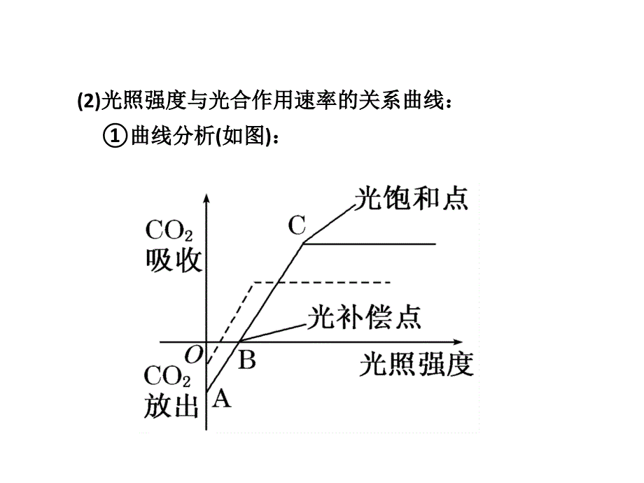 概念植物在内通过光合作用制造的数量表示方法_第4页