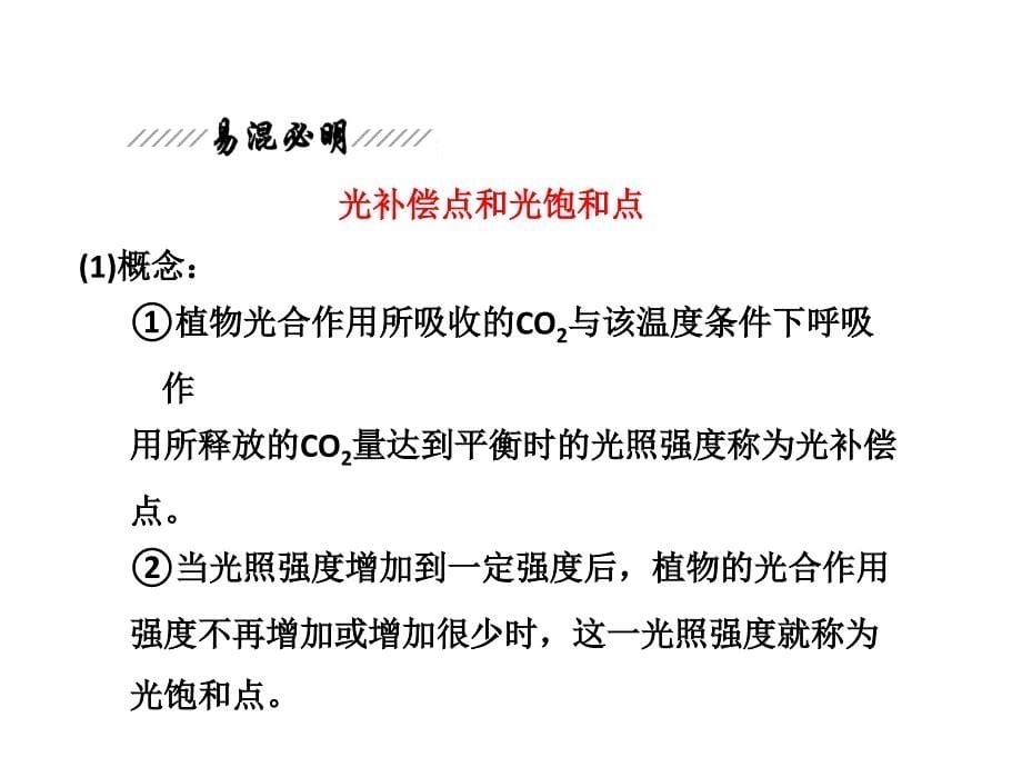 概念植物在内通过光合作用制造的数量表示方法_第5页