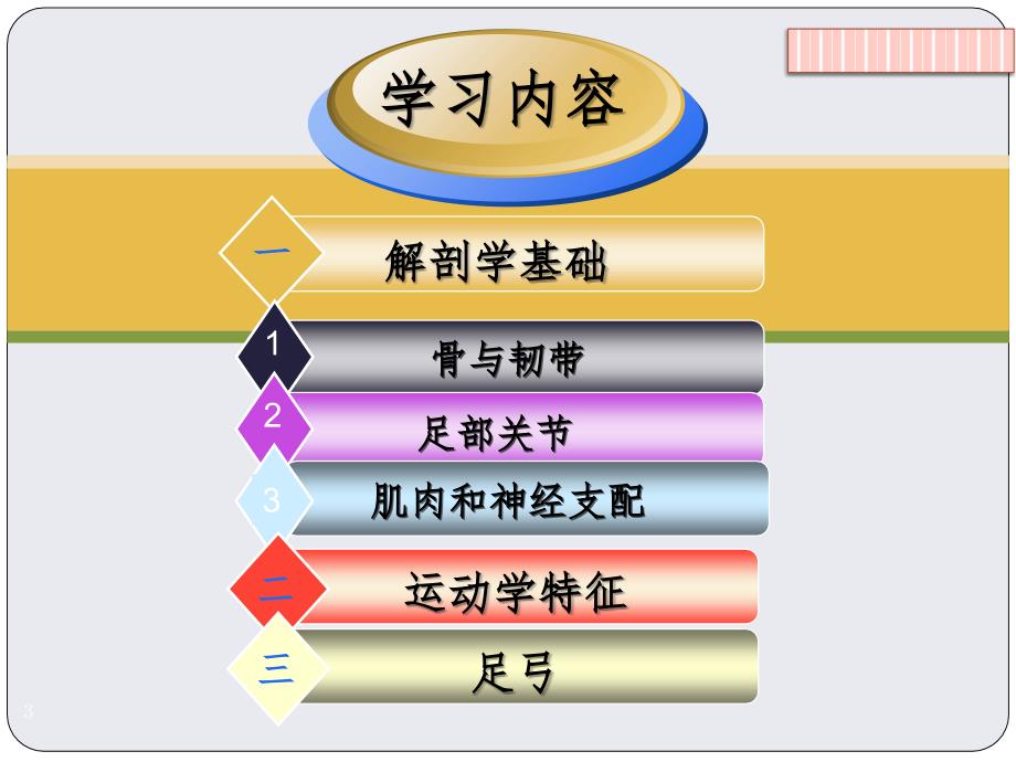 关节运动学,足和足弓PPT精品文档_第3页