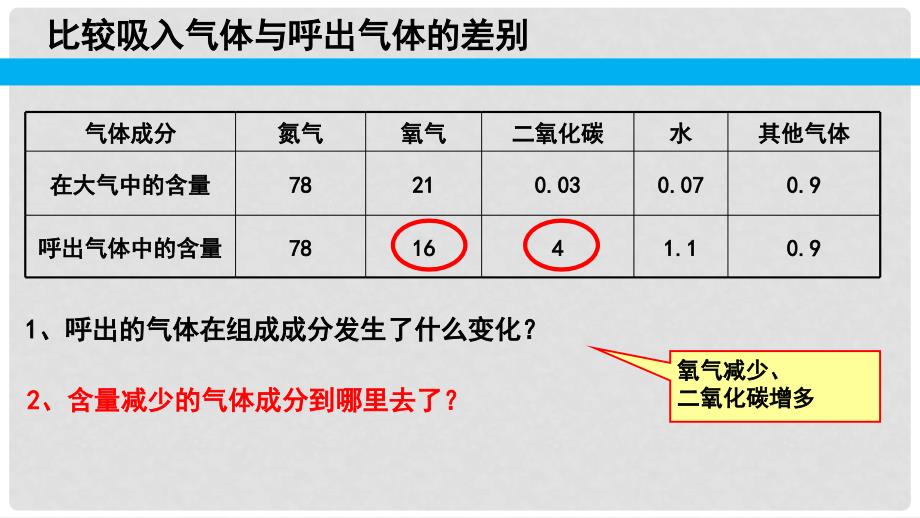 广东中山市七年级生物下册 4.3.2 发生在肺内的气体交换课件2 （新版）新人教版_第3页