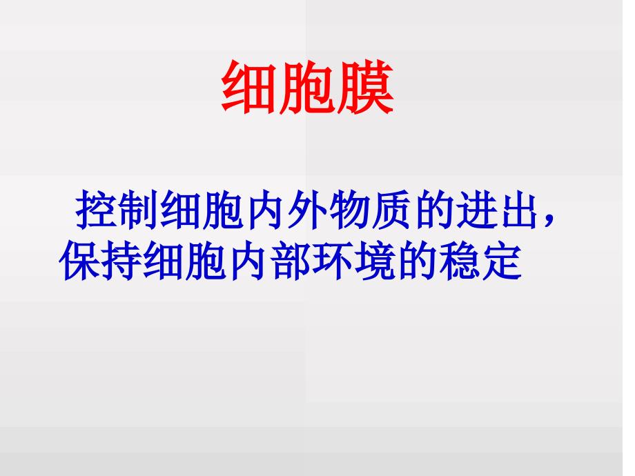 动植物细胞的结构和功能PPT课件_第3页