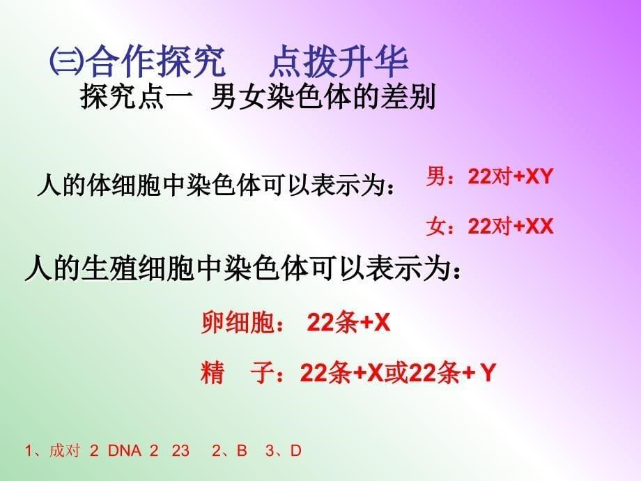 八年级生物下册 第七单元 第二章 第四节 人的性别遗传课件 新人教版.ppt_第5页