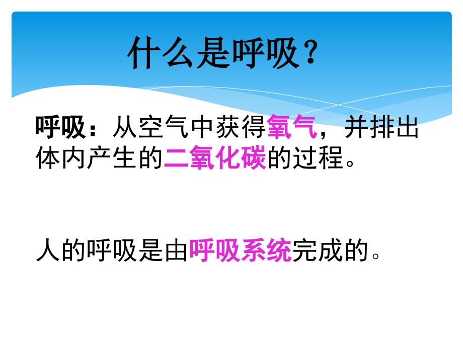 七年级生物下册 第三章 第一节呼吸道对空气处理_第2页