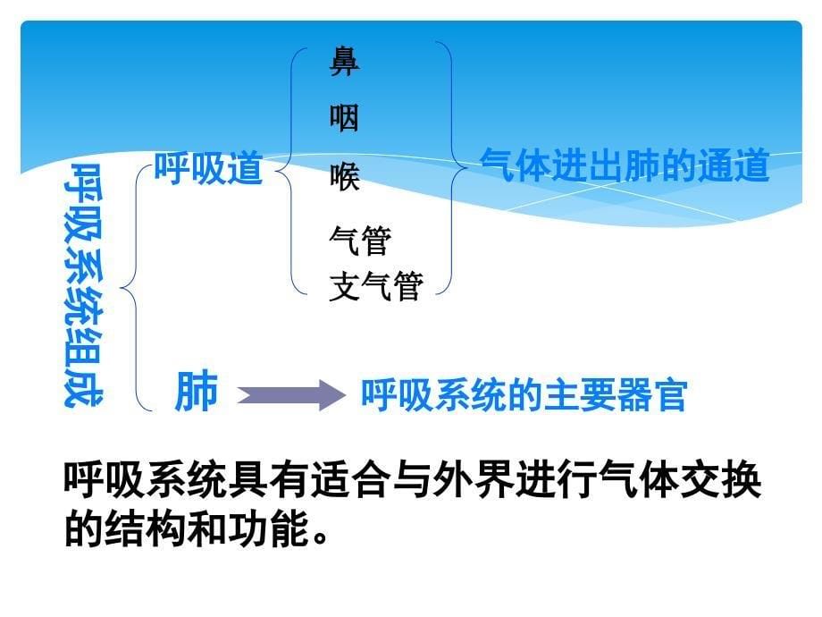 七年级生物下册 第三章 第一节呼吸道对空气处理_第5页